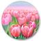 Designart - Field of Pink Tulips - Traditional Metal Circle Wall Art